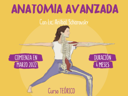 Anatomia avanzada aplicada al Yoga – Online y presencial