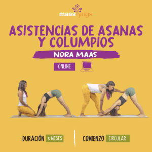 Formación Asistencias de Asanas y Columpios online