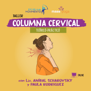 Columna Cervical + Columna Dorsal
