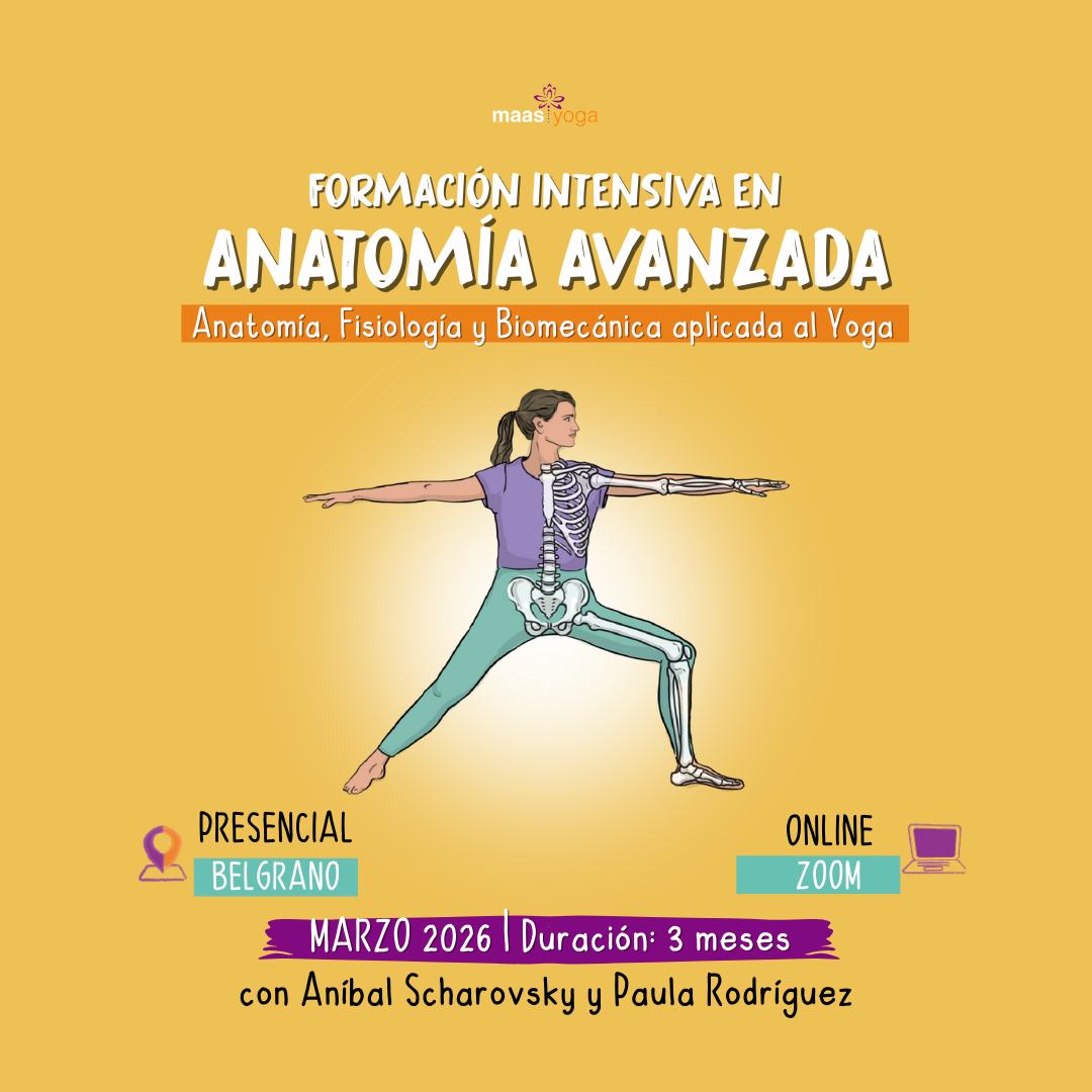 Placas web - Maas Yoga - 8