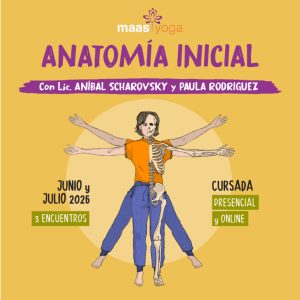 Curso de Anatomia Inicial
