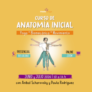 Curso de Anatomia Inicial