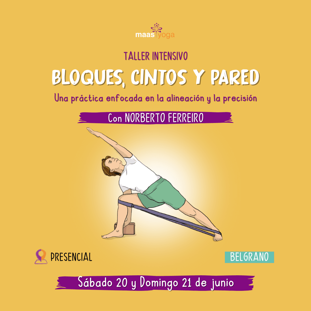 bloques web